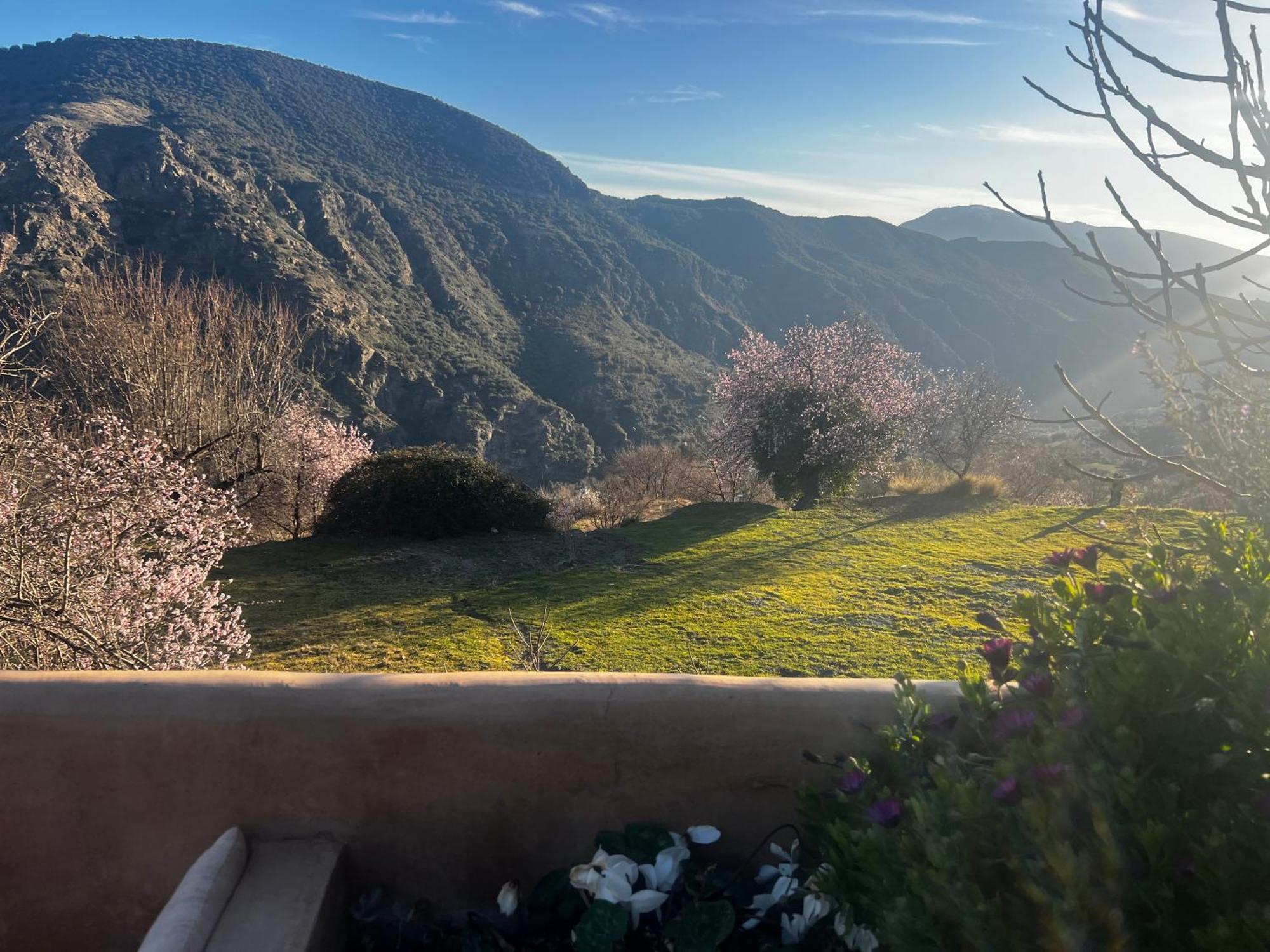 Rural House, Heated Pool & Steam Room, Casa Aloe. Atalbeitar Exteriör bild